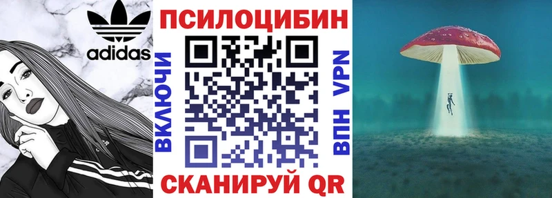 Галлюциногенные грибы Cubensis  Нерехта 